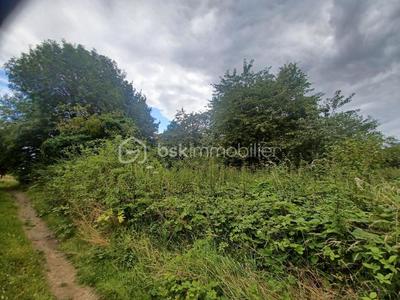 Terrain de loisirs - 7 000 m²