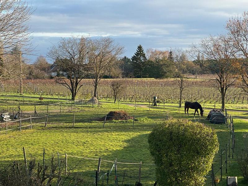 Maison - 205 m² - 6 pièces