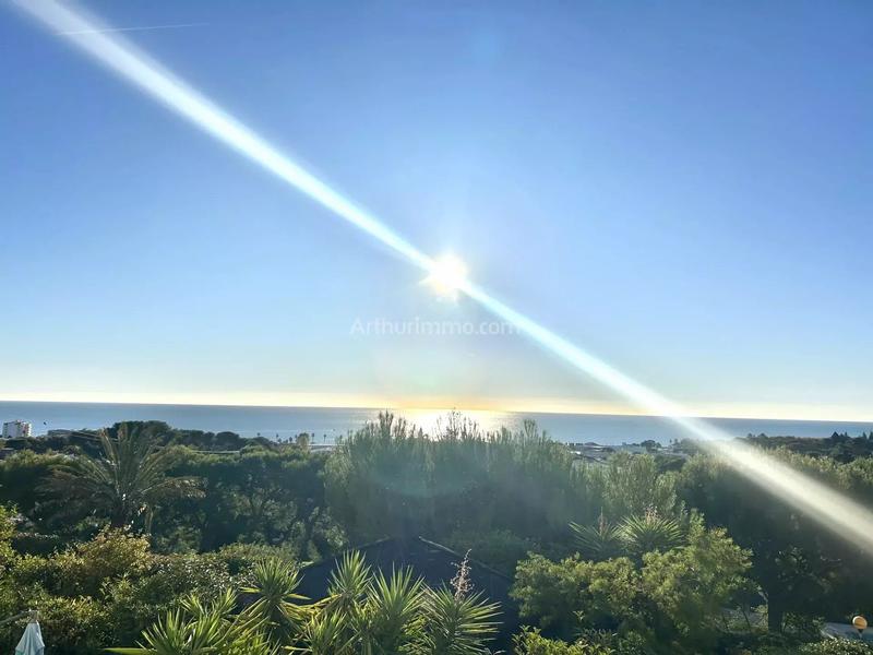 Appartement - 52 m² - 2 pièces