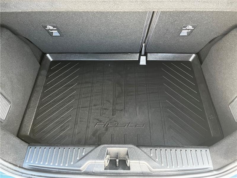 Ford Fiesta VII 1.0 Flexifuel 95 Ch s&amp;S Bvm6 St-Line X