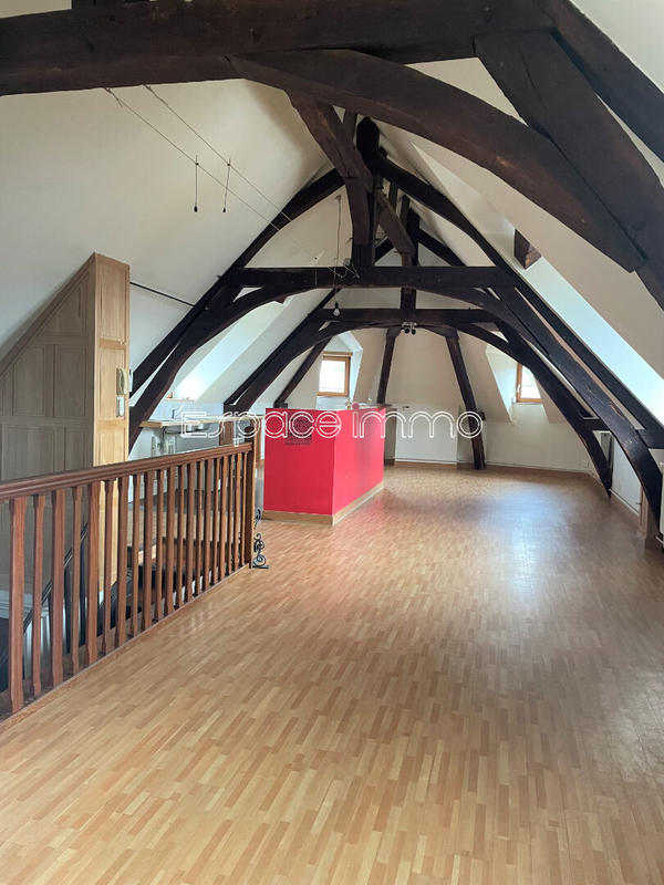 Loft - 40 m² - 1 pièce