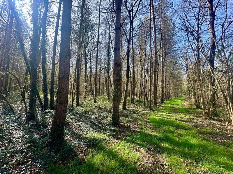 Maison - 109 m² - 4 pièces