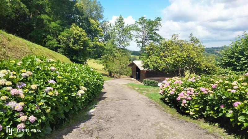 Maison - 226 m² - 8 pièces