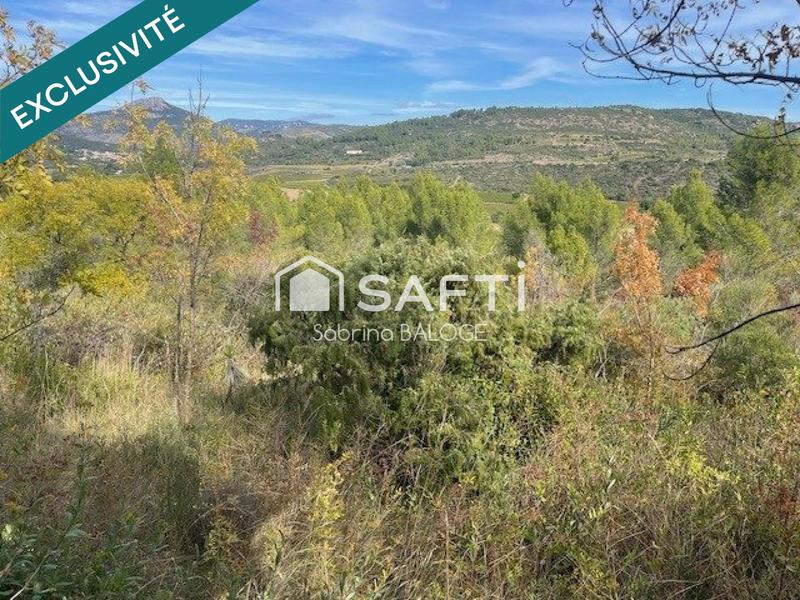 Terrain agricole - 31 000 m²