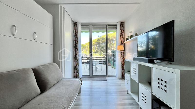 Studio - 20 m² - 1 pièce