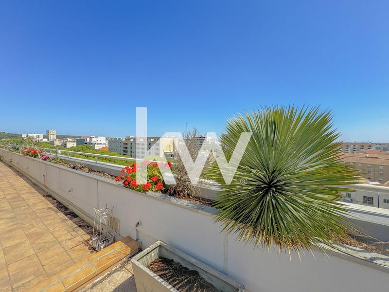 Appartement - 101 m² - 4 pièces