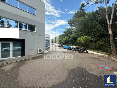 Local d'activité / Entrepôt - 706 m²