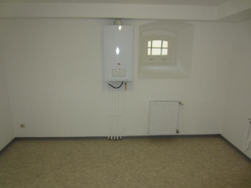 Appartement ancien - 44 m² - 1 pièce