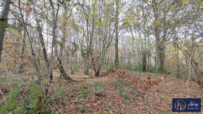 Terrain - 2 500 m²