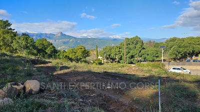 Terrain - 5 435 m²