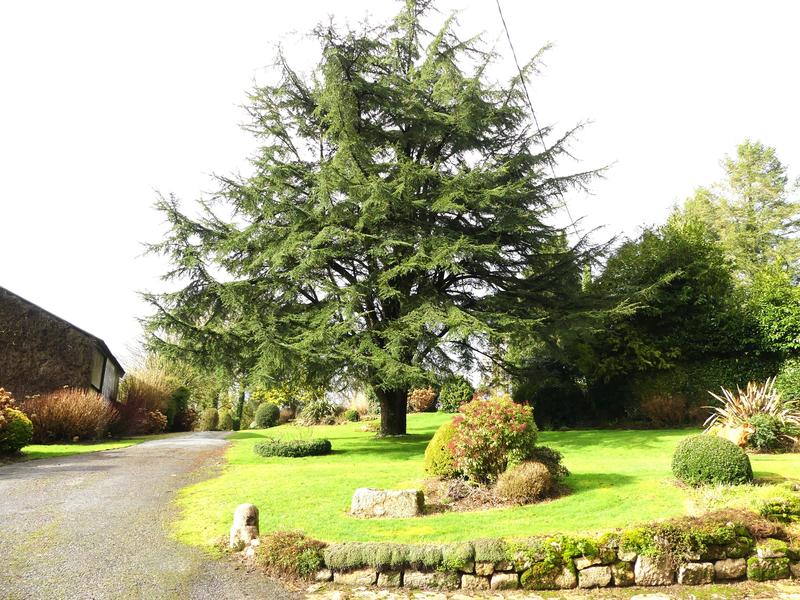 Longère - 165 m² - 4 pièces