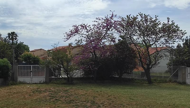 Terrain constructible - 481 m²