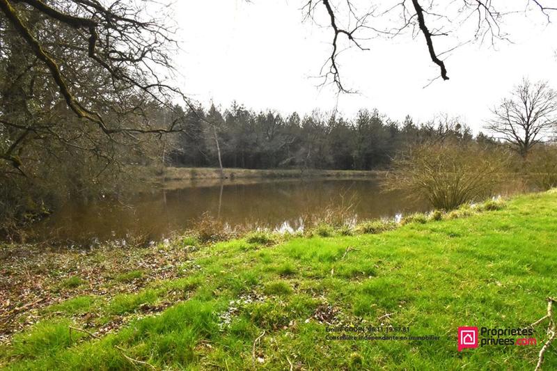 Terrain de loisirs - 11 556 m²