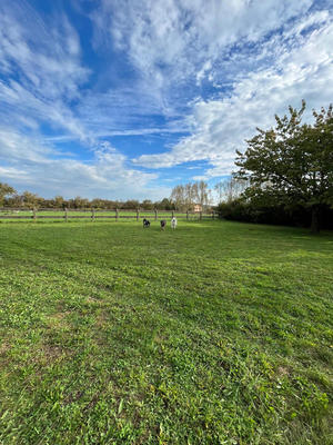 Villa - 240 m² - 8 pièces