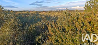 Terrain agricole - 5 940 m²