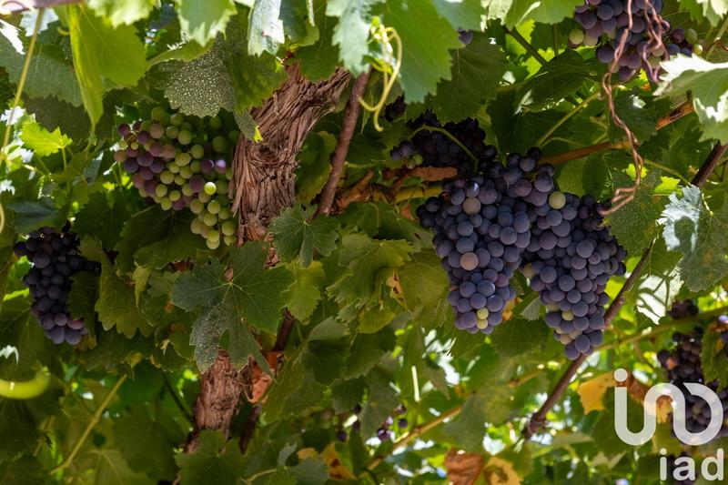 Maison - 980 m² - 5 pièces