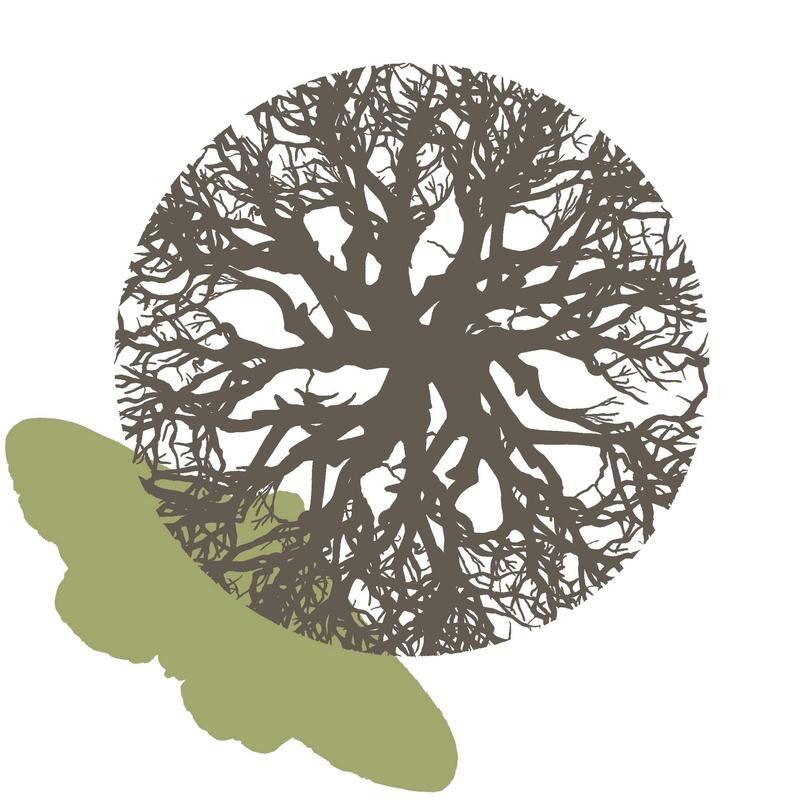 Projection cinéma au Bateau-Lavoir