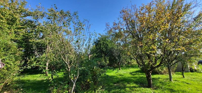 Ferme - 60 m² - 4 pièces