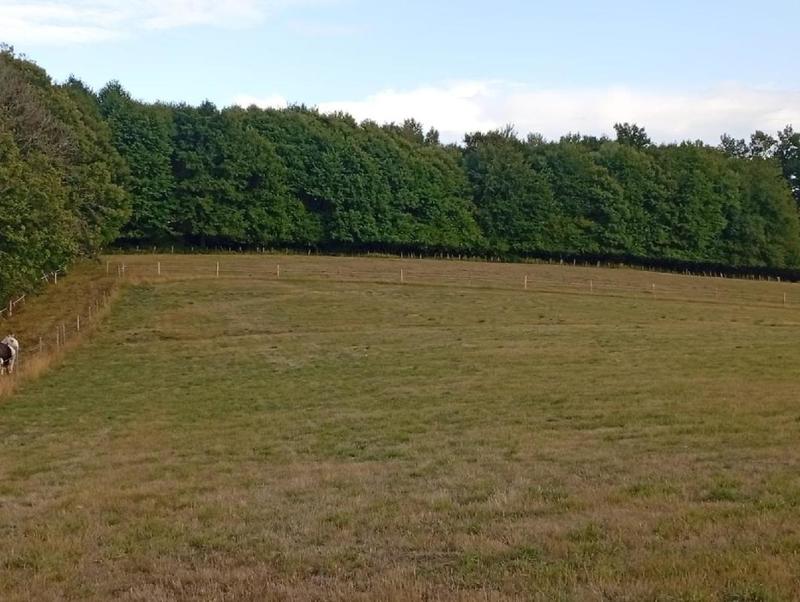 Terrain - 151 596 m²