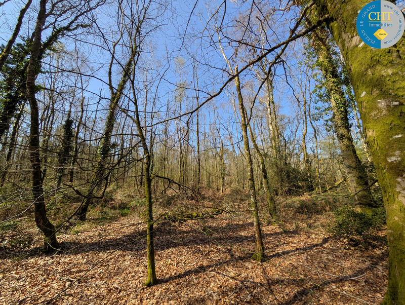 Terrain - 24 900 m²