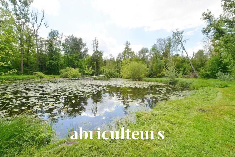 Château - 1 000 m² - 16 pièces