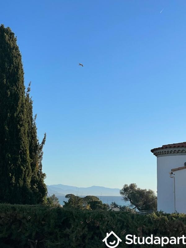 Appartement - 25 m² - 2 pièces