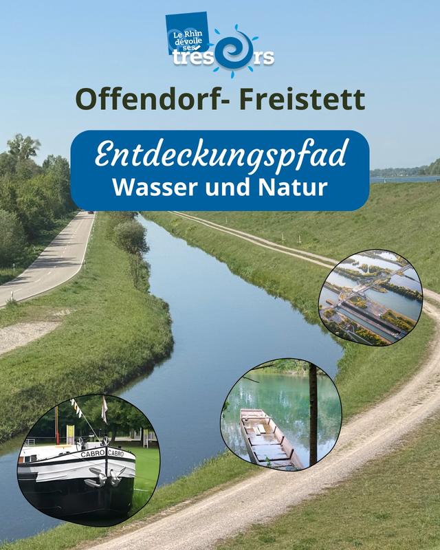 Jeu de piste numérique Tresors du Rhin Offendorf - Freistett