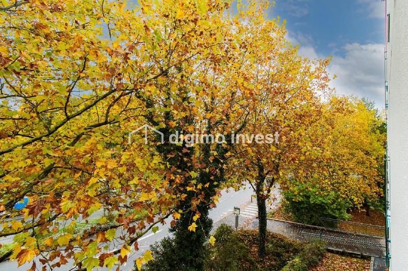 Studio - 19 m² - 1 pièce