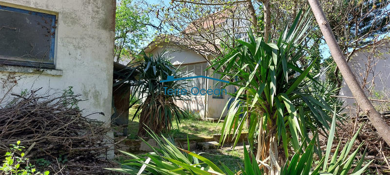 Maison ancienne - 90 m² - 5 pièces