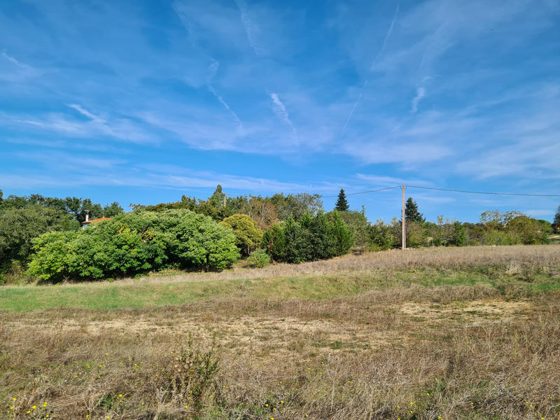 Terrain - 1 376 m²