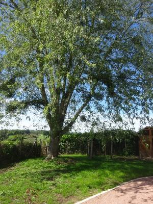 Maison - 59 m² - 3 pièces