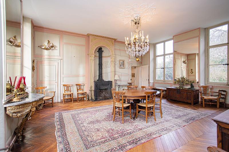Château - 400 m² - 13 pièces