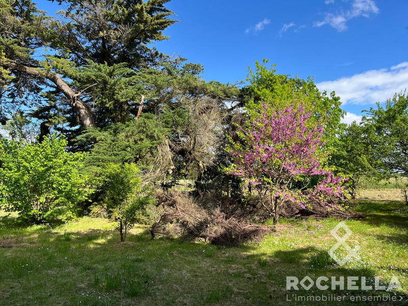 Maison ancienne - 399 m² - 5 pièces