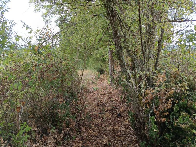 Terrain agricole - 33 821 m²