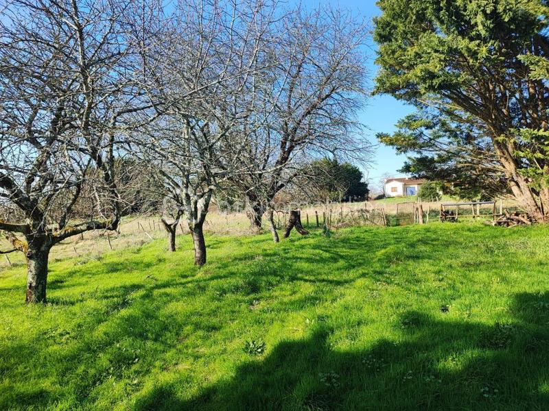 Maison ancienne - 77 m² - 4 pièces