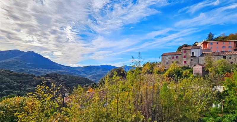 Appartement - 81 m² - 3 pièces