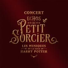 Neko Light Orchestra - Echos du Petit Sorcier