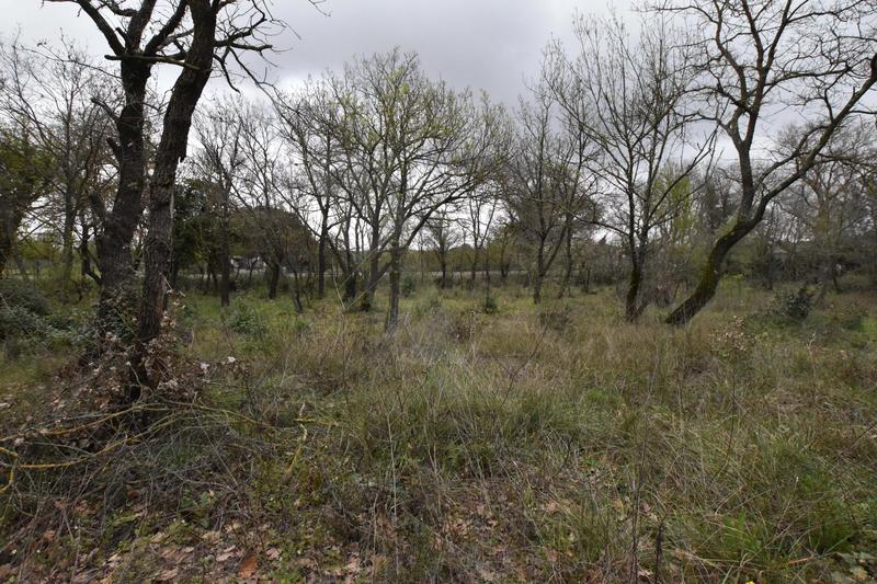 Terrain commercial - 3 719 m²