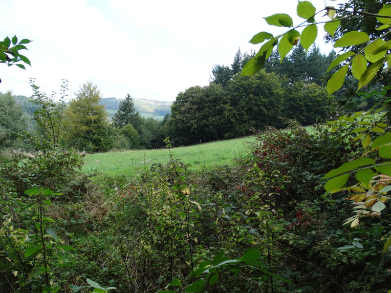 Ferme - 140 m² - 3 pièces