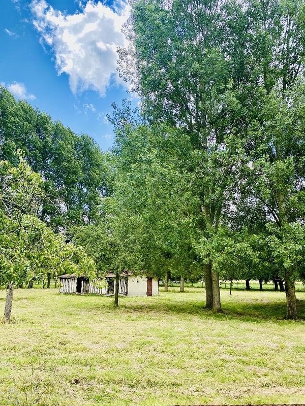 Maison normande - 156 m² - 6 pièces