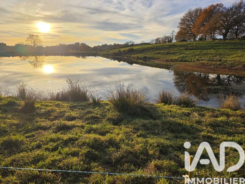 Terrain - 41 275 m²