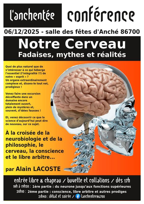 Notre Cerveau, Fadaises, mythes et réalités