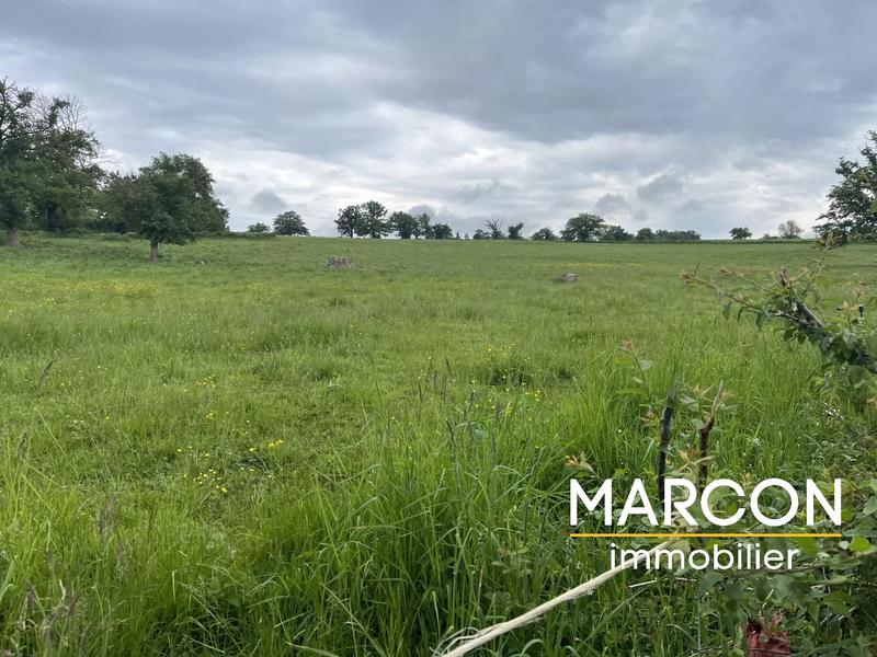 Maison - 131 m² - 5 pièces