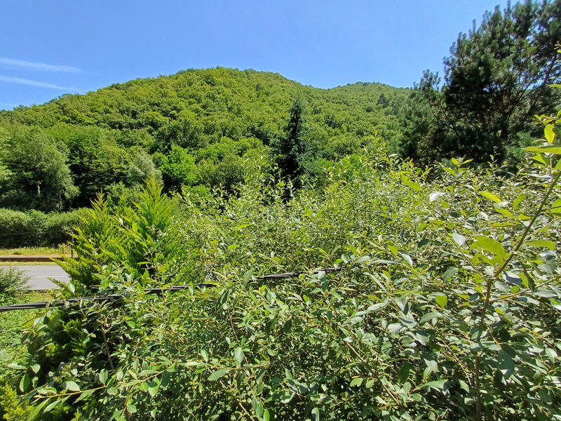 Maison - 65 m² - 4 pièces