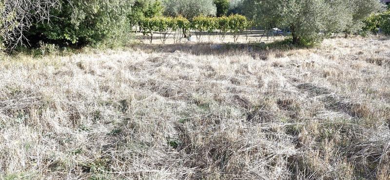 Terrain constructible - 783 m²