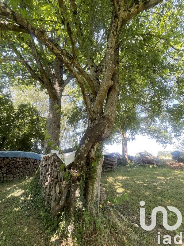 Maison - 208 m² - 7 pièces