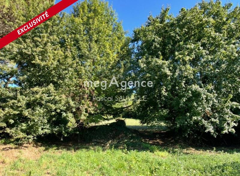 Terrain constructible - 1 600 m²