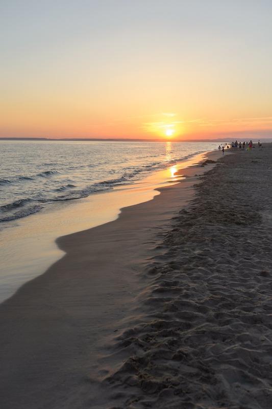 Fonds de commerce - 10 000 m²