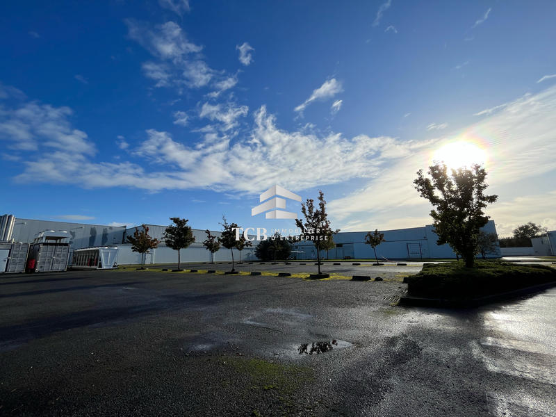 Local d'activités - 11 245 m²