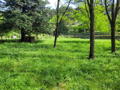 Terrain constructible - 3 500 m²